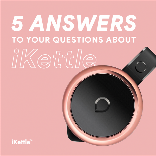 The answers to our most commonly asked iKettle questions